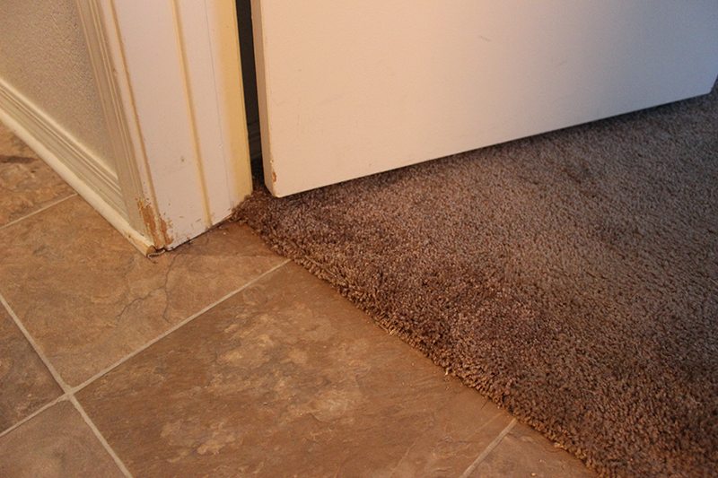 Carpets Before And After Cleaning Them Pictures In Las Vegas Nevada