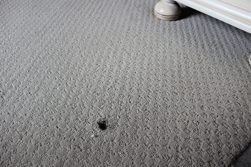 Carpets Before And After Cleaning Them Pictures In Las Vegas Nevada