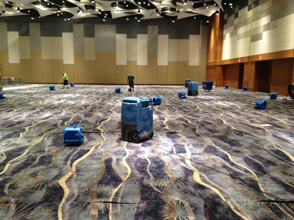 Commercial Carpet Cleaning | Las Vegas Carpet Repair ...
